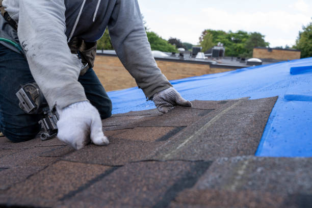 Best Roof Restoration Services  in Palmyra, MO