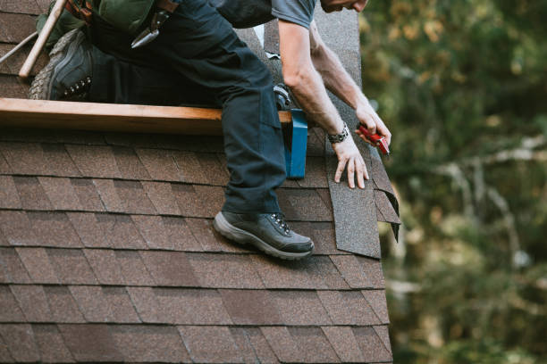 Roof Installation Near Me in Palmyra, MO
